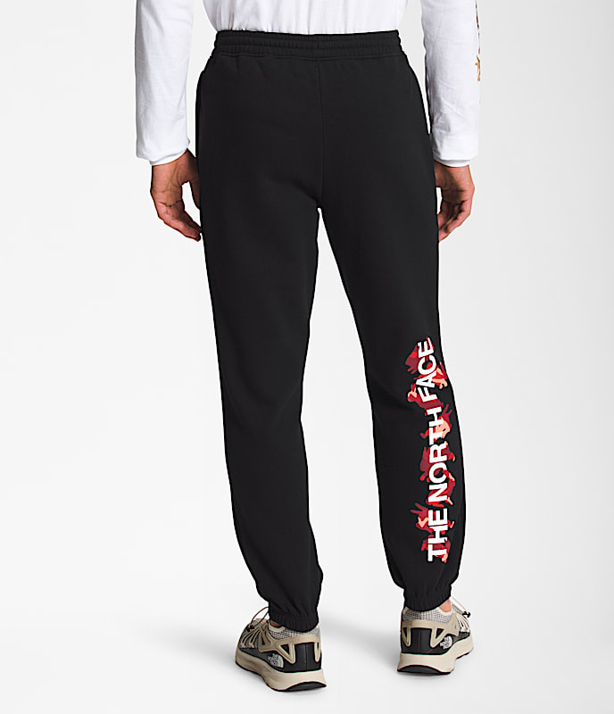 Men's Half Dome Sweatpants | The North Face Canada