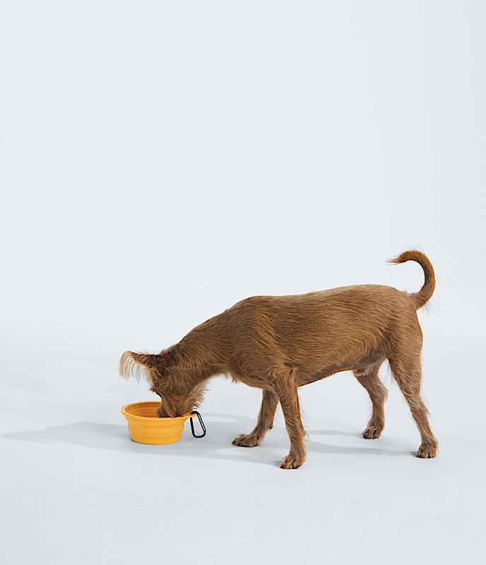 TNF™ Collapsible Pet Bowl - 2