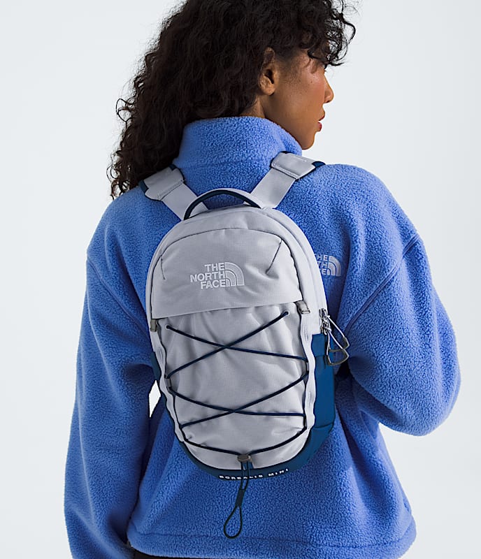 Borealis Mini Backpack | The North Face Canada