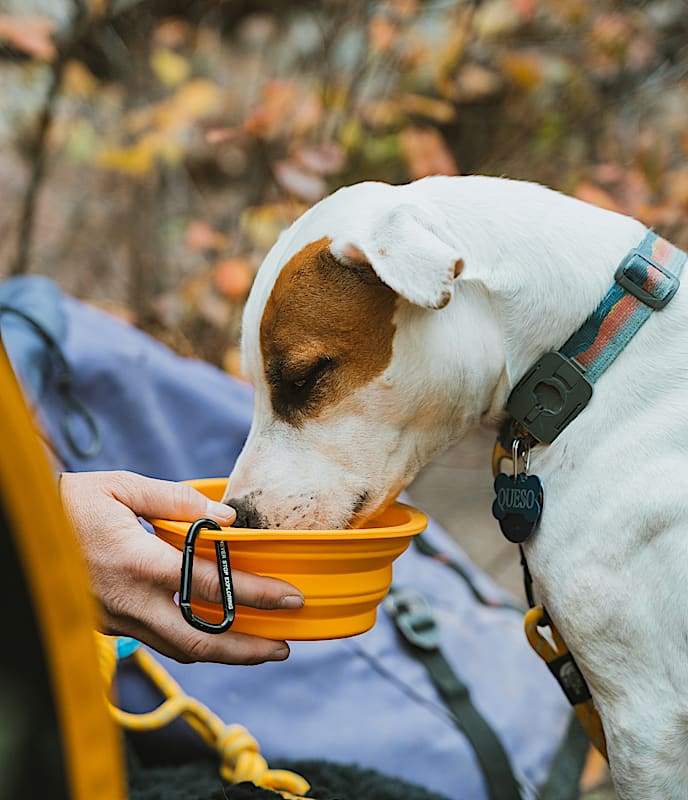 TNF™ Collapsible Pet Bowl - 5