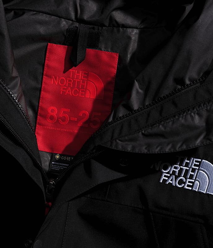 商品画像：GORE-TEX® Mountain Jacket | The North Face FI 2