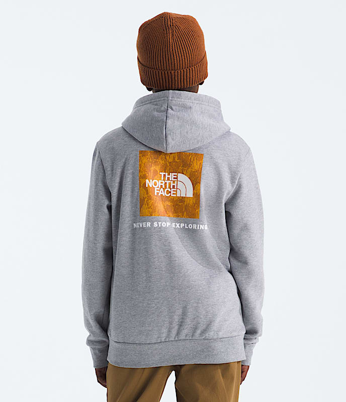 Boys' & Girls' Evolution Box NSE Pullover Hoodie—Graphic