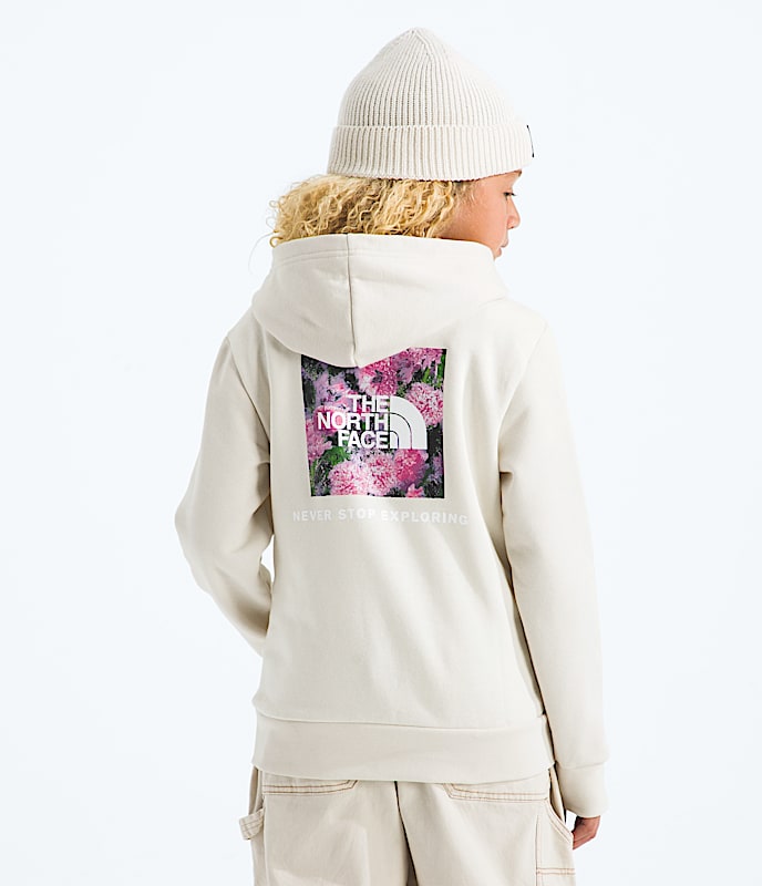 Boys' & Girls' Evolution Box NSE Pullover Hoodie—Graphic