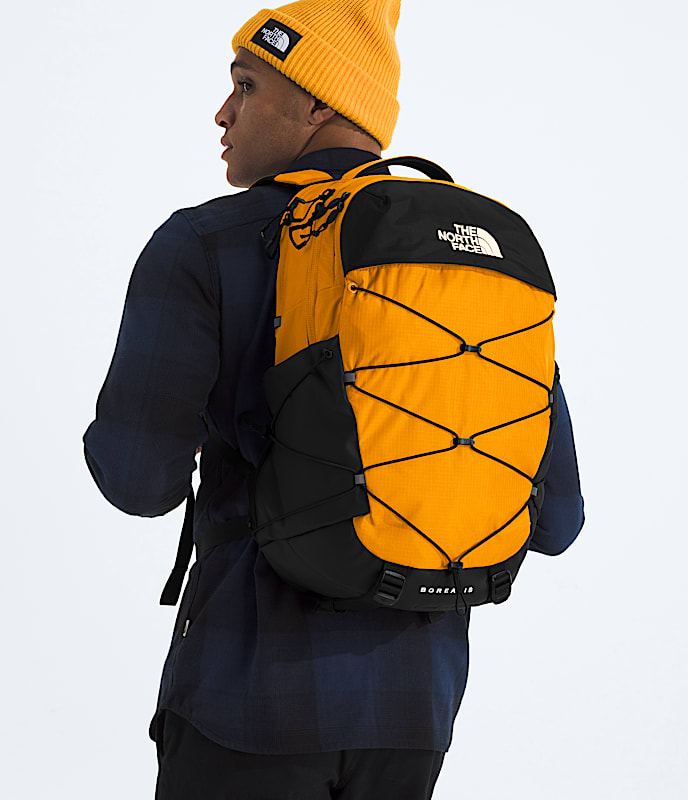 Borealis Backpack