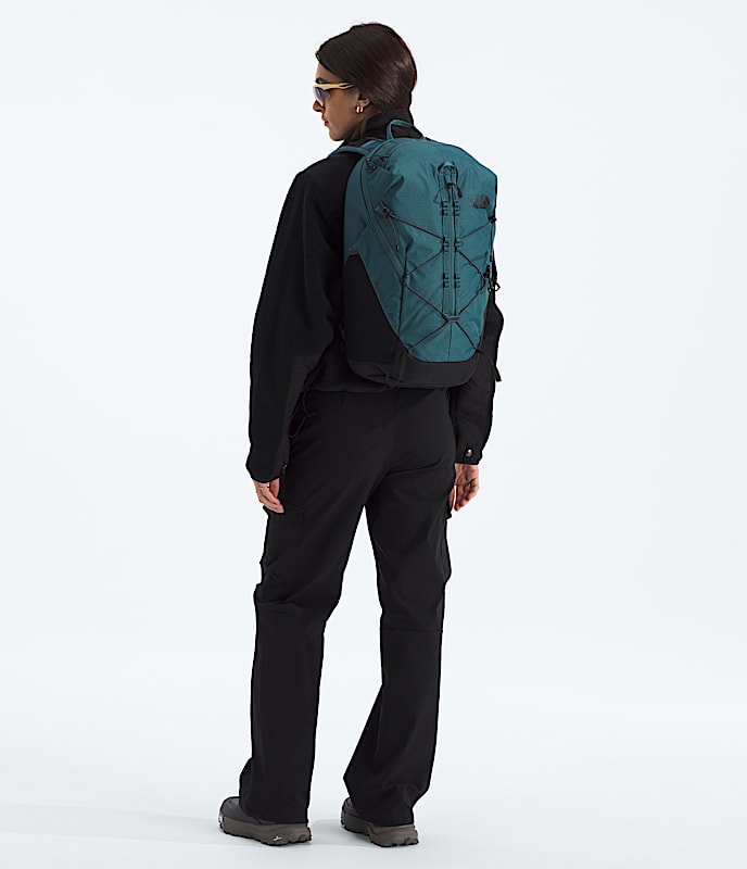 バッグ THE NORTH FACE Borealis Backpack