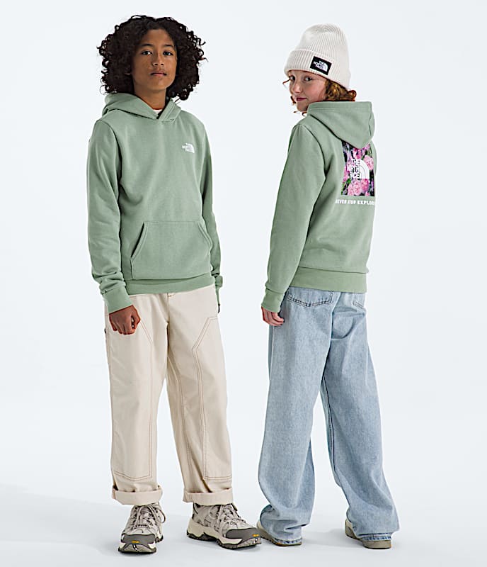 スウェット・トレーナー THE NORTH FACE 'Simple' hoodie Green Amazon.co.jp: [ザノースフェイス] パーカー メンズ シンプル