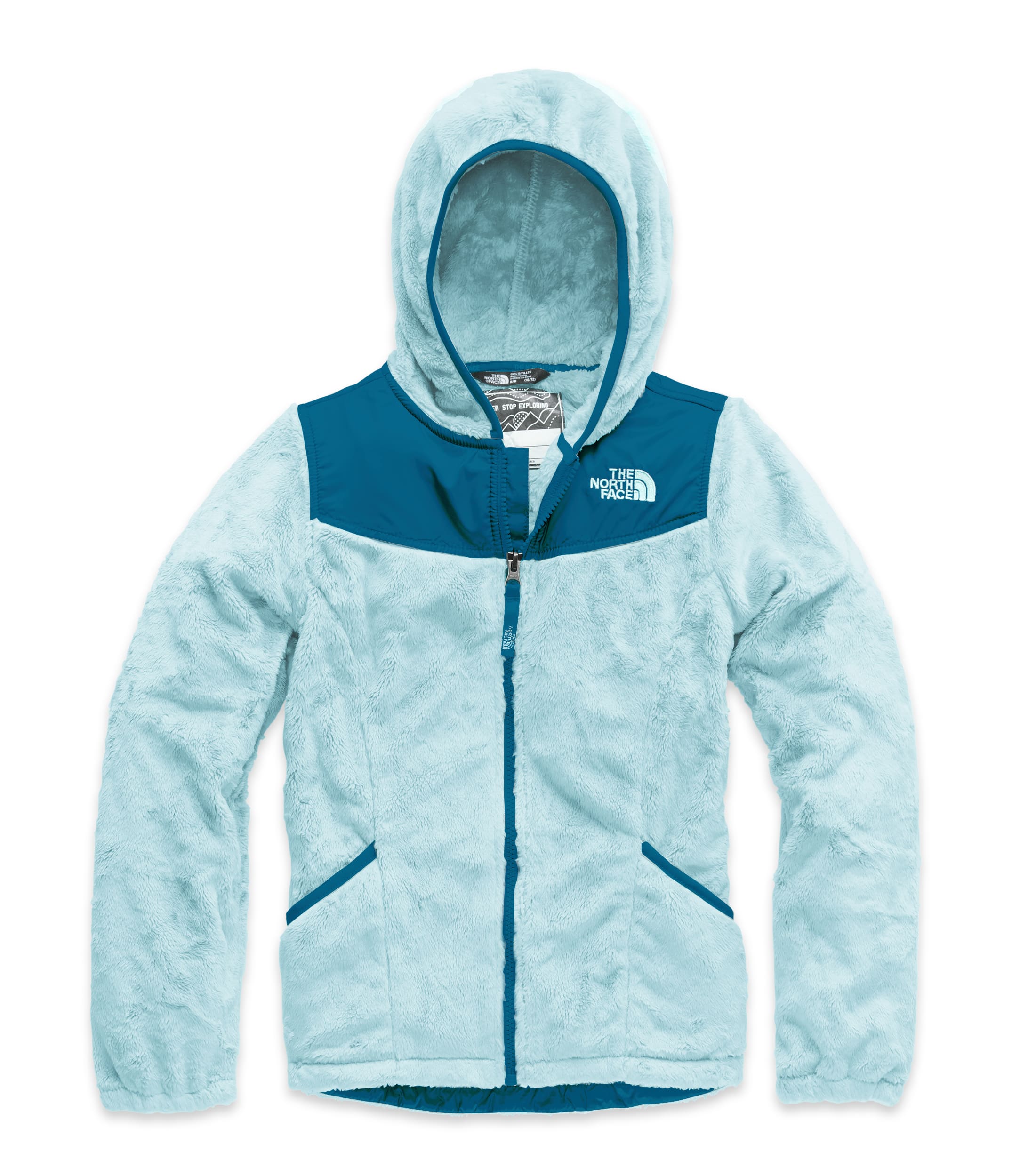 G Oso Hoodie | The North Face | The North Face Renewed