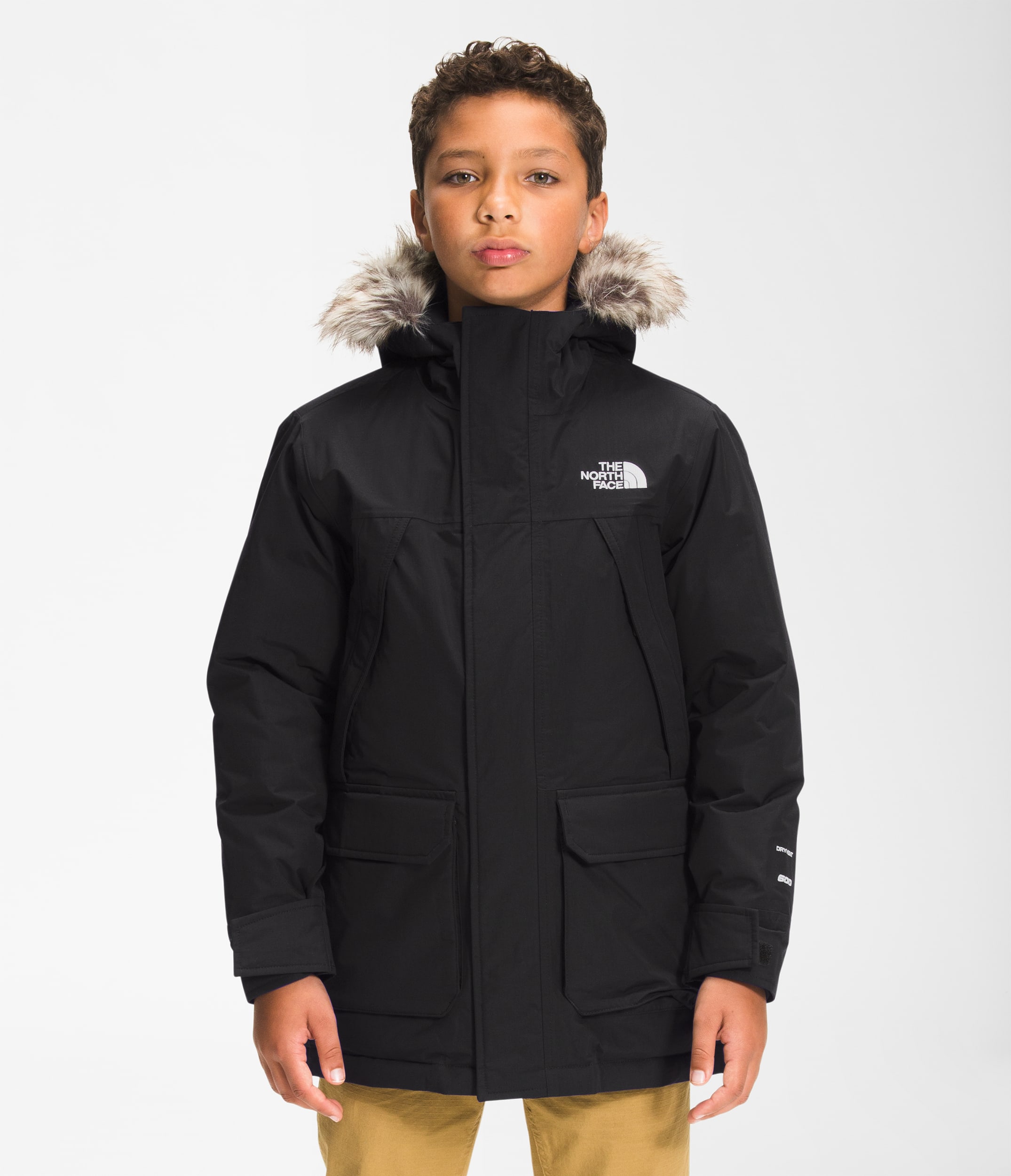 THE NORTH FACE McMURDOパーカー　メンズ　L THE NORTH FACE ザ ノースフェイス 海外限定 マクマード パーカ