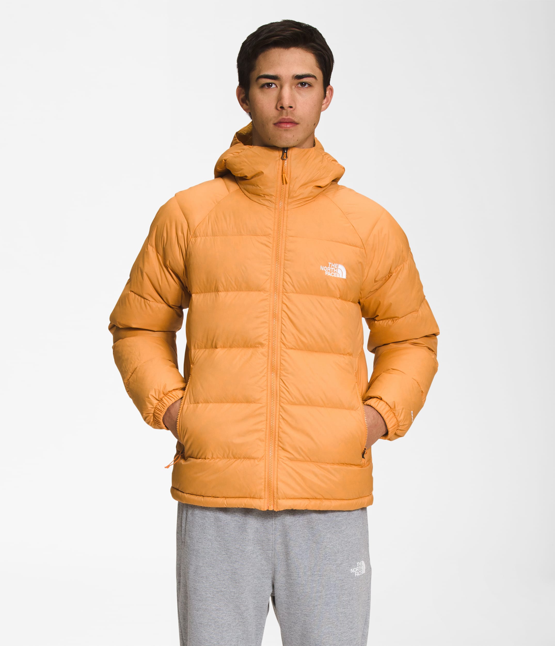 Men's Hydrenalite™ Down Hoodie | The North Face | The North Face