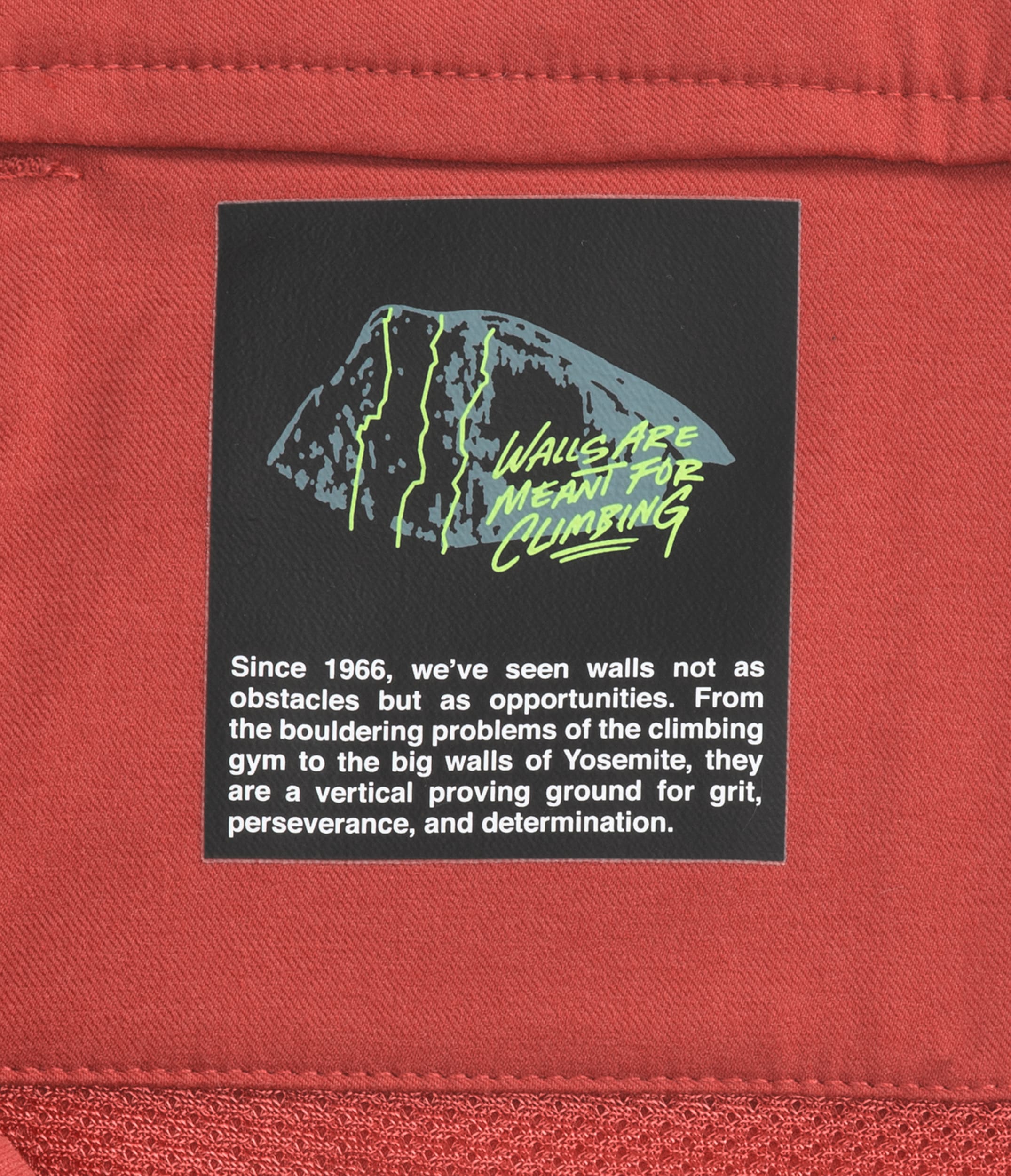 M PROJECT PANT | The North Face | The North Face Renewed