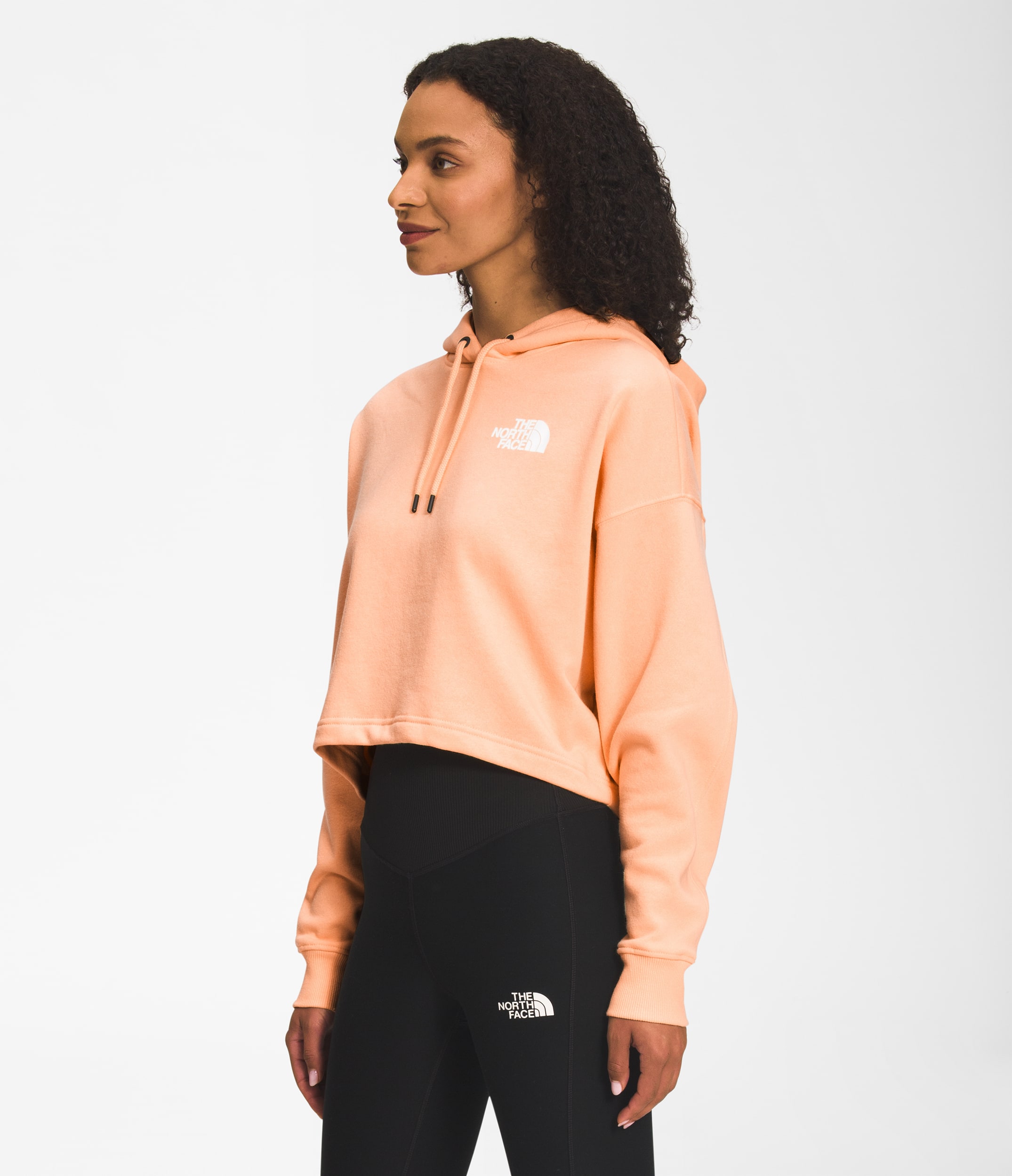 THE NORTH FACE ザ ノースフェイス パーカー BOX NSE PULL OVER