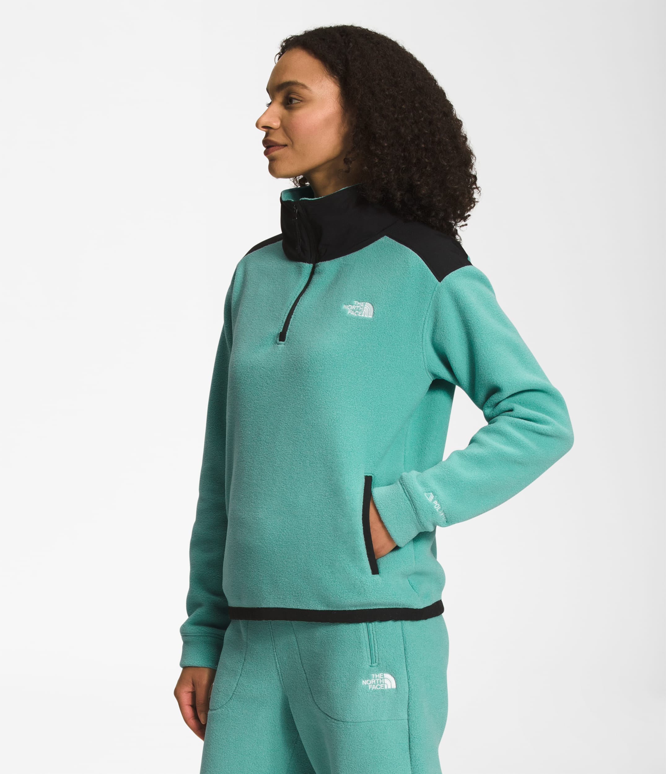 W ALPINE POLARTEC 200 1/4 ZIP | The North Face | The North
