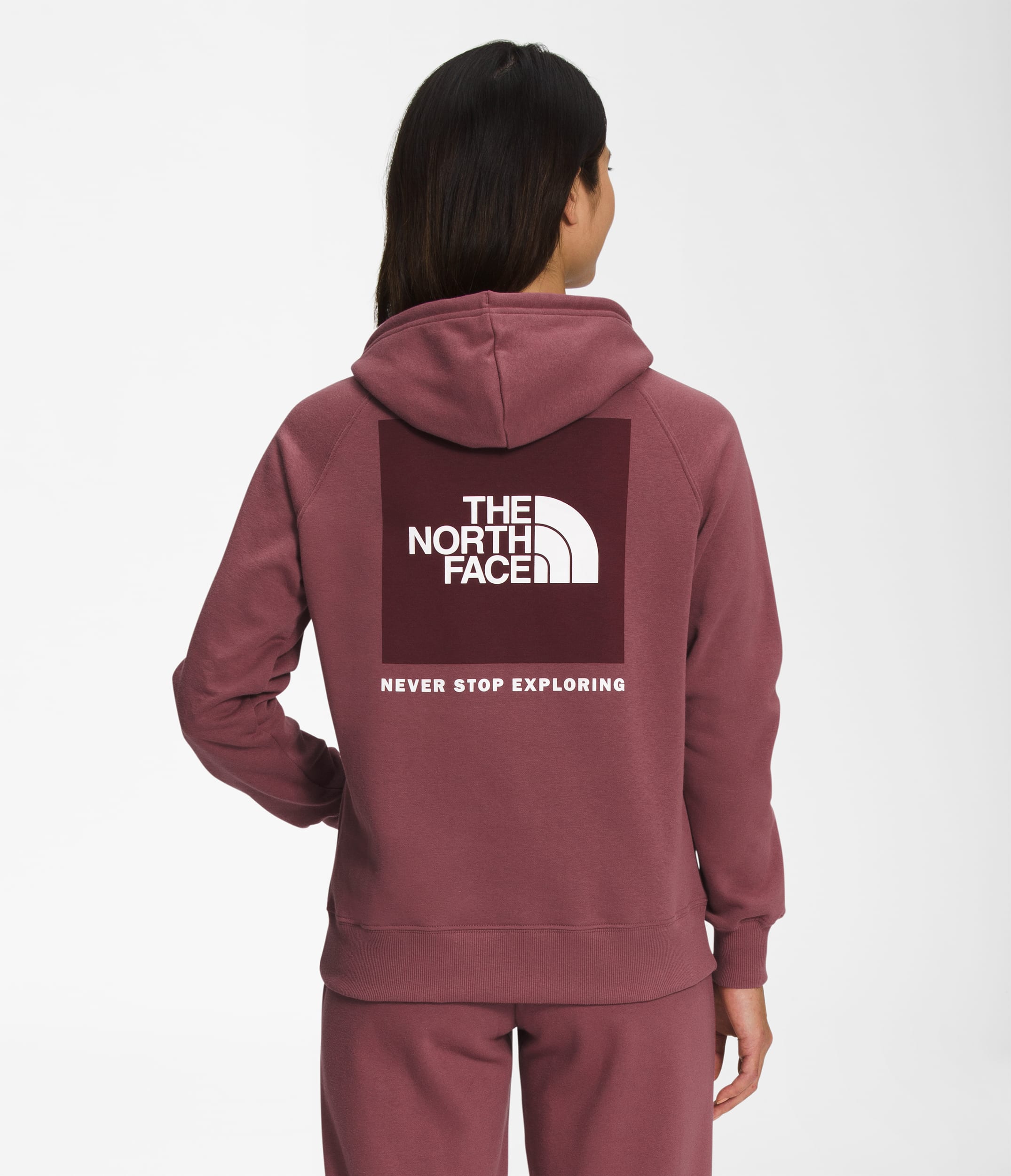 W BOX NSE PULLOVER HOODIE | The North Face | The North Face