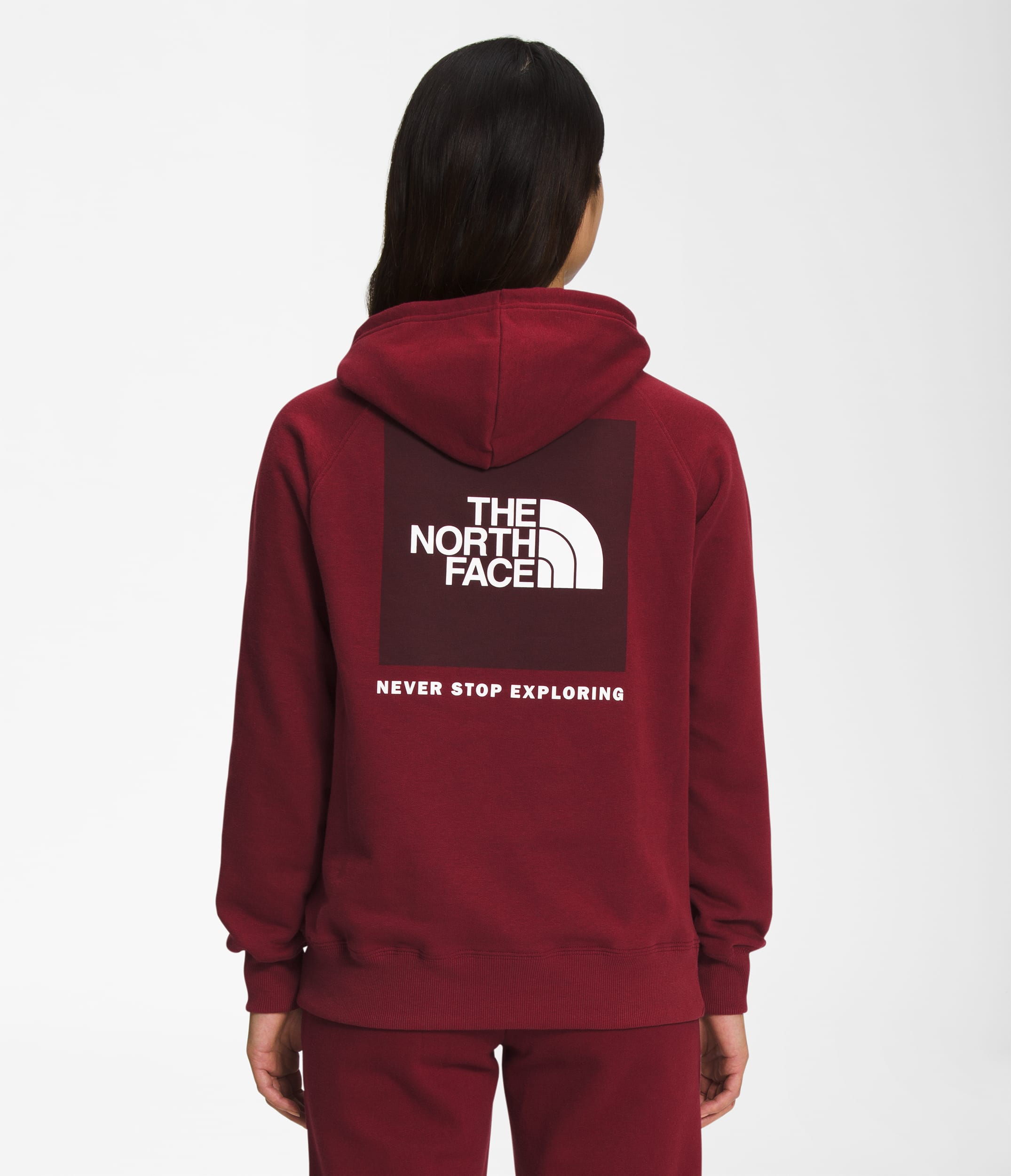 W BOX NSE PULLOVER HOODIE | The North Face | The North Face