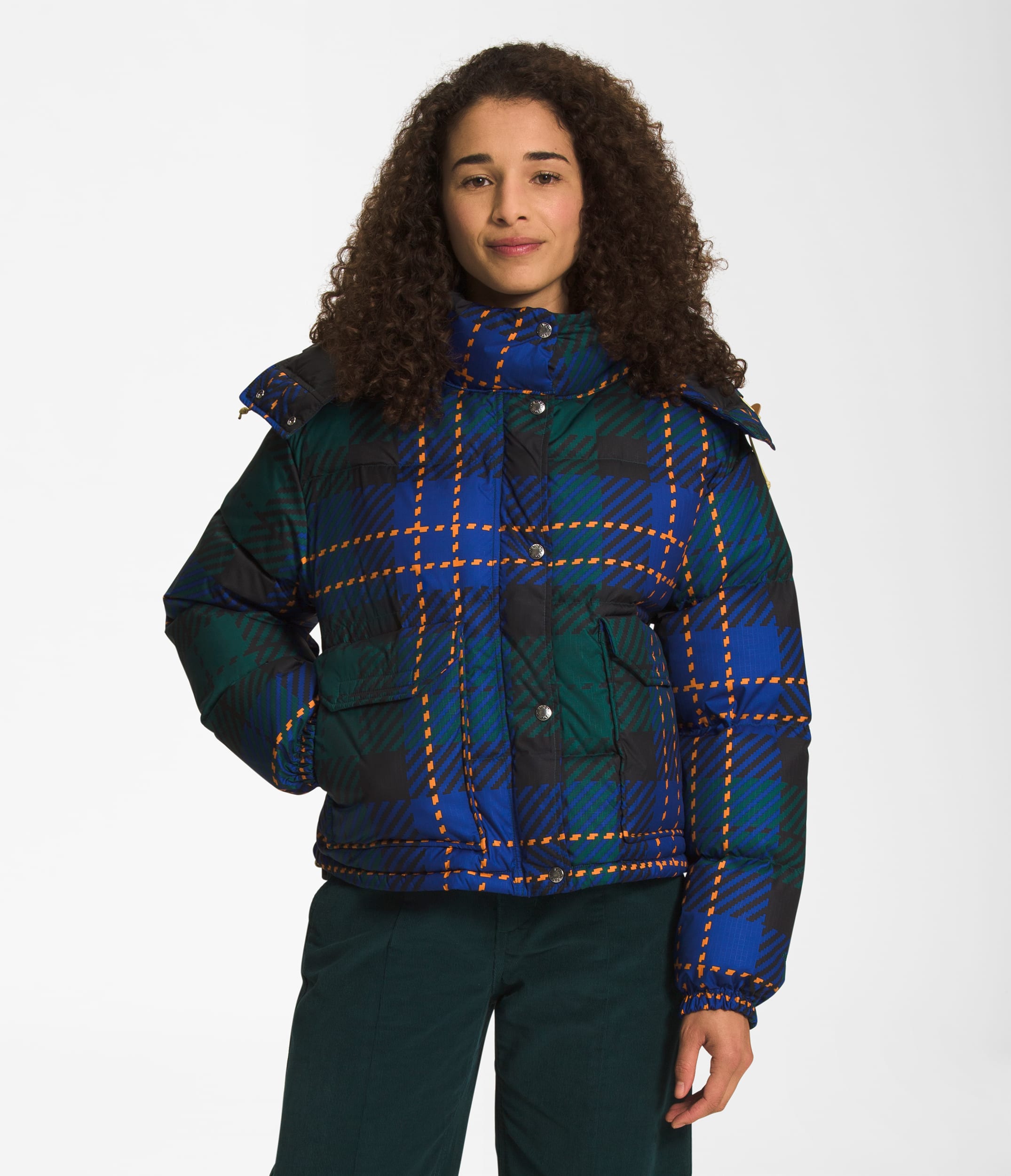 W PRINTED 71 SIERRA DOWN SHORT JACKET | The North Face | The North 