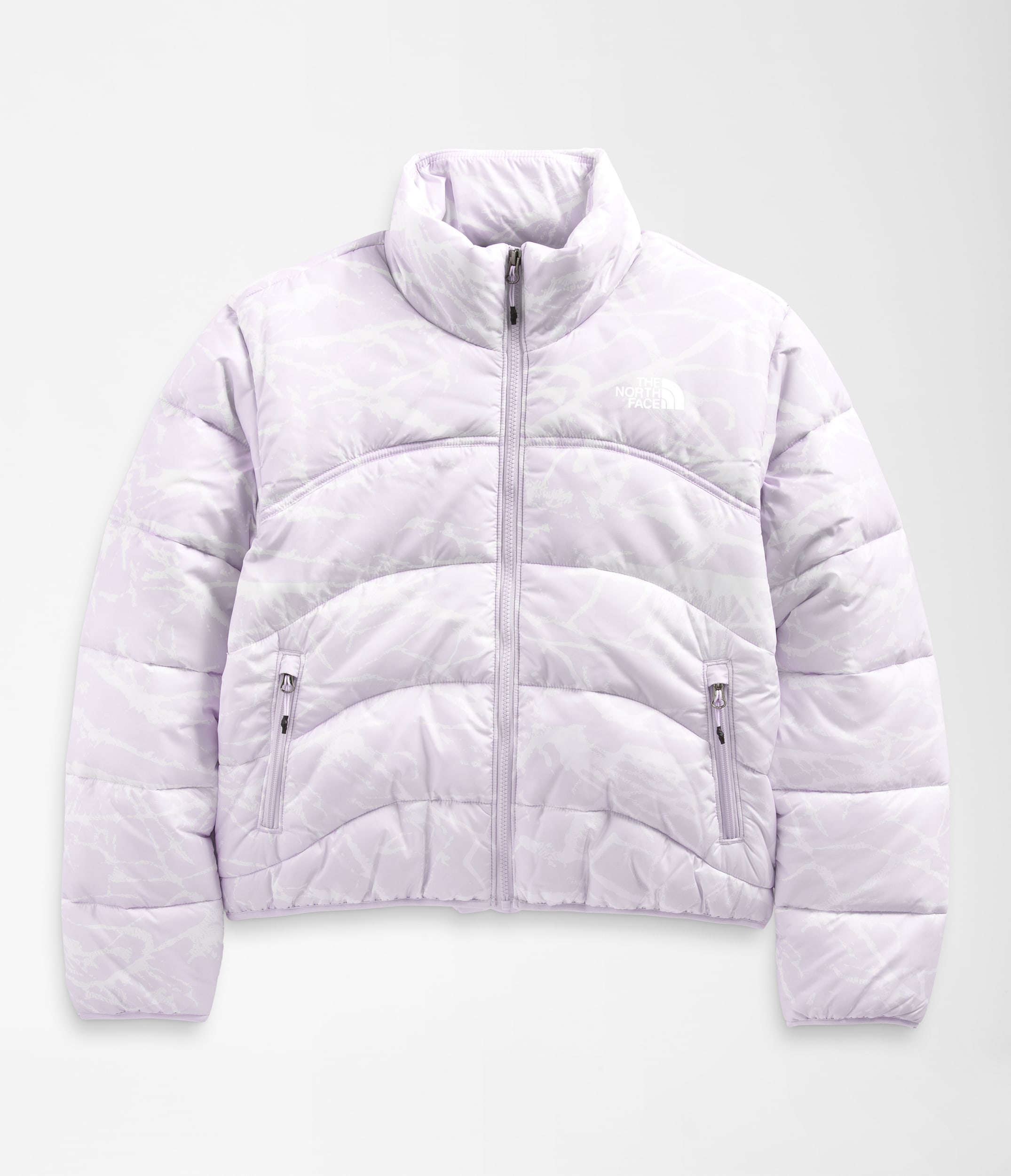 W PRINTED TNF JACKET 2000 | The North Face | The North Face