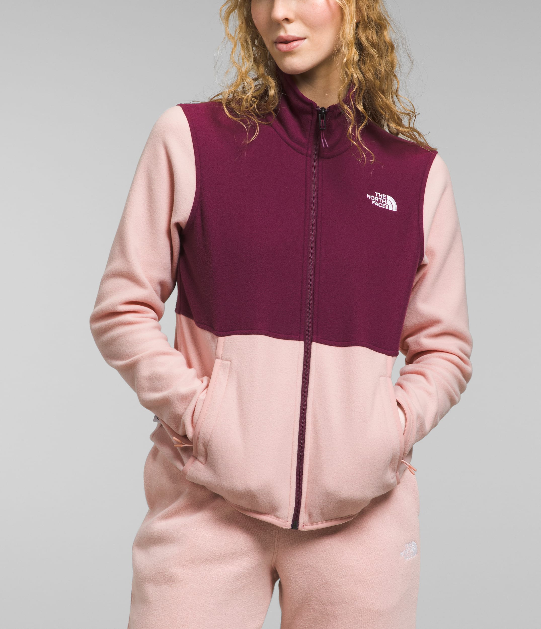 The North Face Men's Alpine Polartec® 100 Jacket : Vermont
