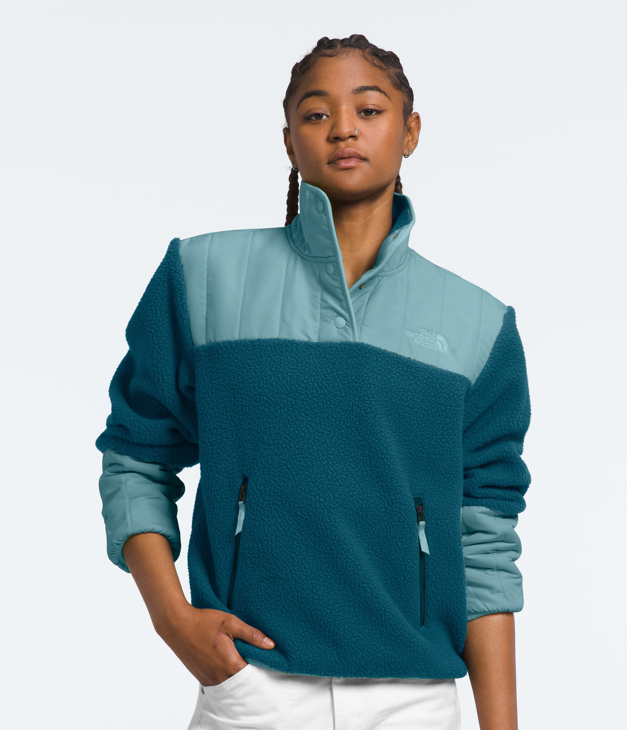 W Crgmnt Flc 1/4 Snap | The North Face | The North Face Renewed