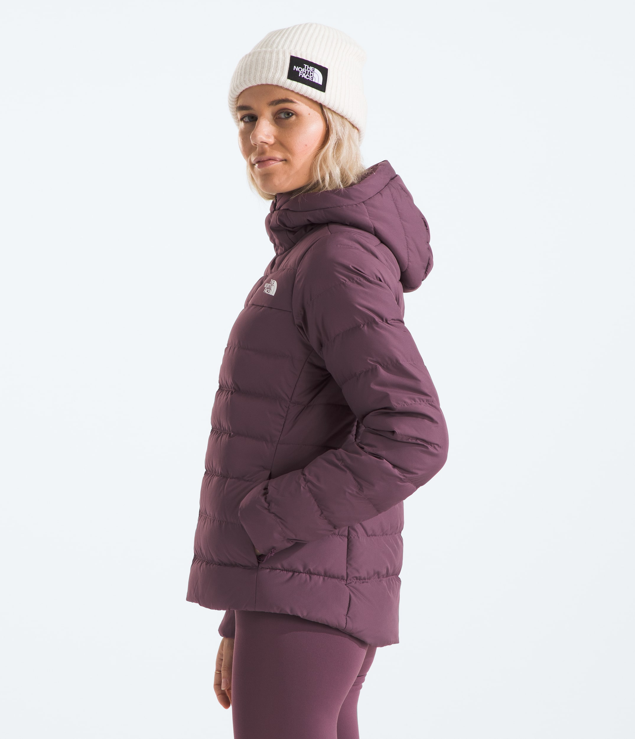 Amazon.com: THE NORTH FACE Men's Aconcagua 3 Lined Hoodie