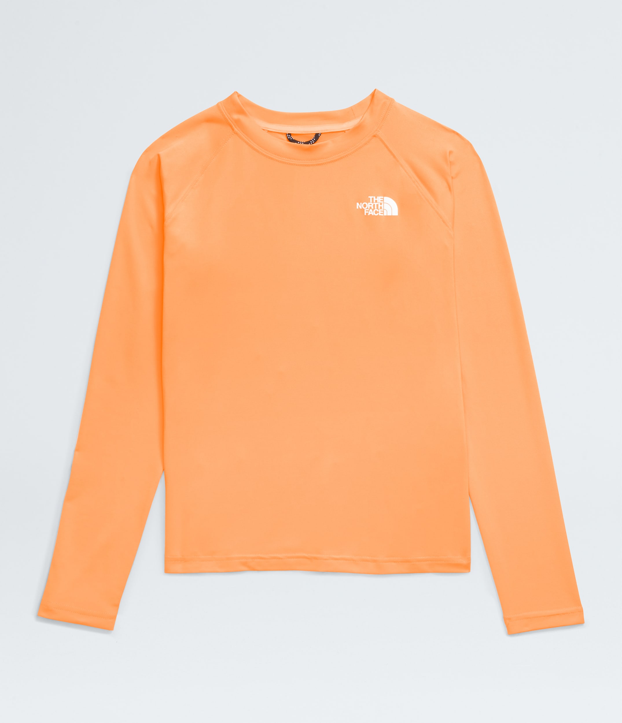 【THE NORTH FACE】G AMPHIBIOUS L/S SUN TEE★送料・関税込 G AMPHIBIOUS L/S SUN TEE | The North Face | The North Face