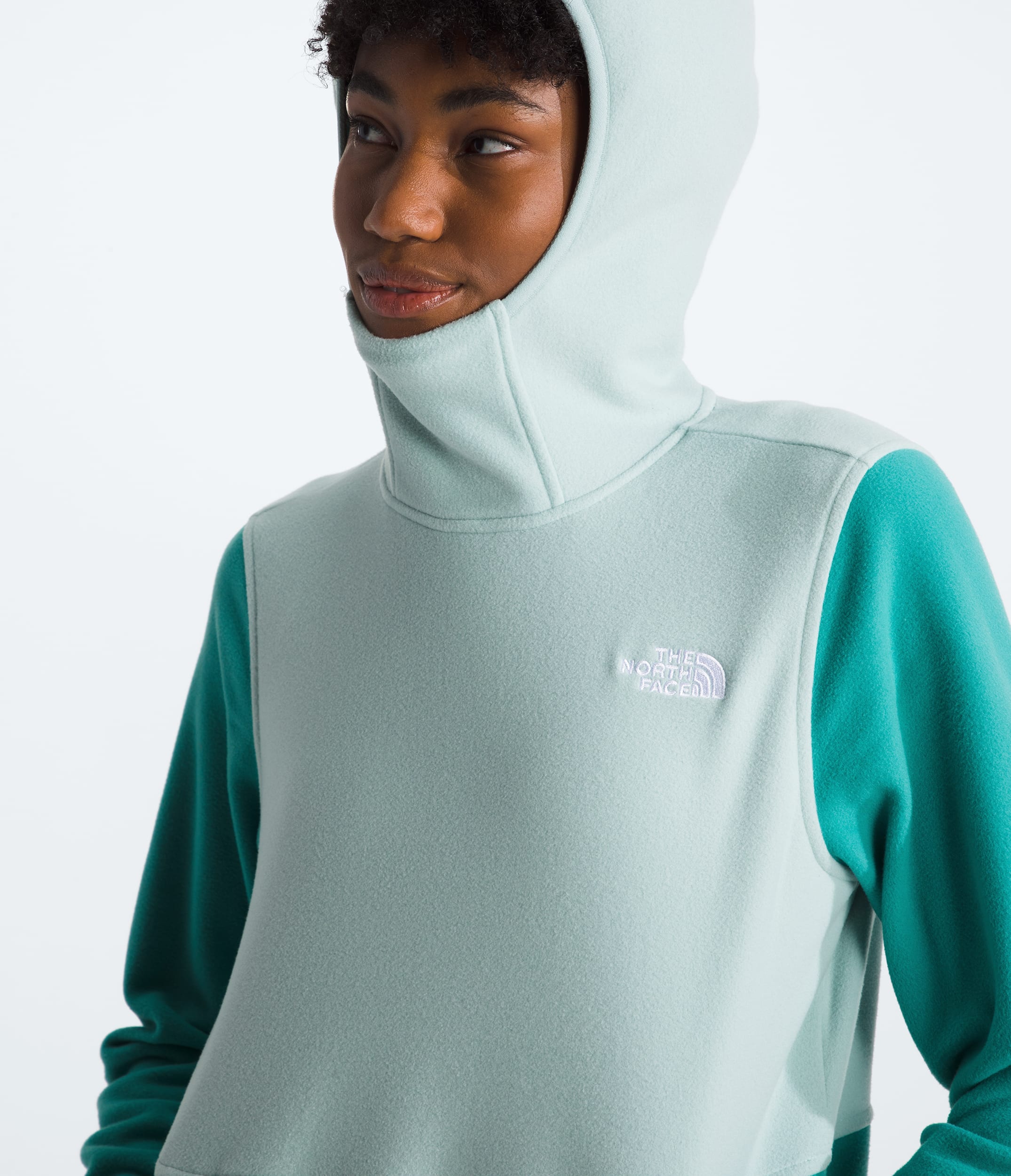 W GLACIER FLEECE P/O HOODIE | The North Face | The North Face Renewed